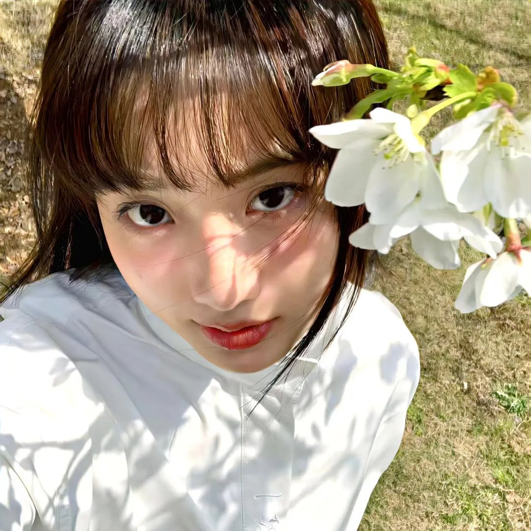 征服